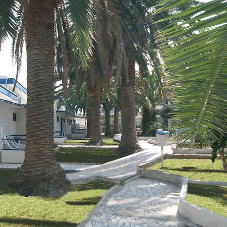 Hotel Gabbiano Isla de Isla de San Domino Zewnętrze zdjęcie