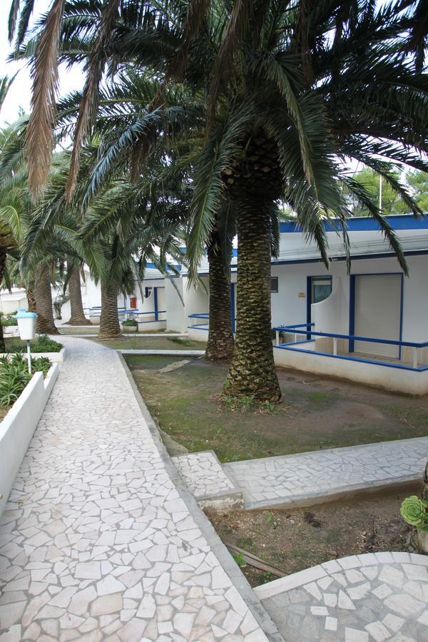 Hotel Gabbiano Isla de Isla de San Domino Zewnętrze zdjęcie